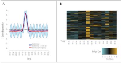 Daily temporal homeostasis in the coral Acropora digitifera